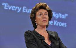 Neelie Kroes, the commissioner responsible for the EU's digital agenda
