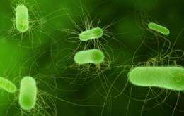  New Compound Combats Drug-Resistant Bacteria, Nobel Laureate Shows