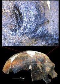 New evidence of interhuman aggression and human induced trauma 126,000 years ago