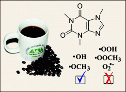 New evidence that caffeine is a healthful antioxidant in coffee