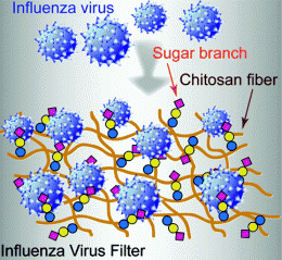 New material for air cleaner filters that captures flu viruses