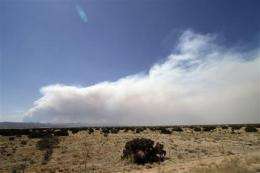 NM wildfire grows, shuts famed Los Alamos nuke lab (AP)