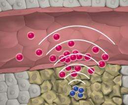 Novel nanoparticles communicate to target tumors more efficiently