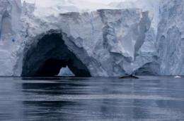 Ocean currents speed melting of Antarctic ice