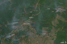Ocean temperatures can predict Amazon fire season severity