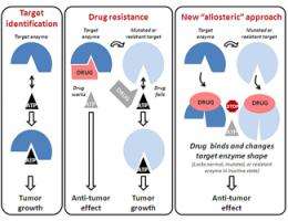 New way to target &ndash; and kill &ndash; proliferating tumors