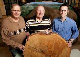 Old-growth tree stumps tell the story of fire in the upper Midwest