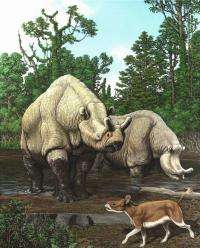 Over 65 million years North American mammal evolution has tracked with climate change