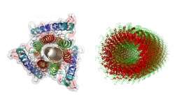 Penn researchers help nanoscale engineers choose self-assembling proteins