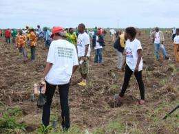 People take part in a tree planting project in Yie
