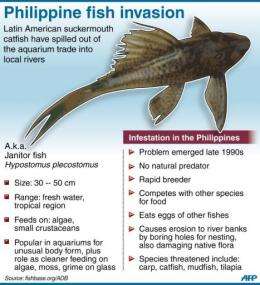 Philippines to fight invading species