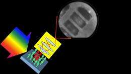 Seeing clearly: 2D nanoscopy achieves direct imaging of nanoscale coherence