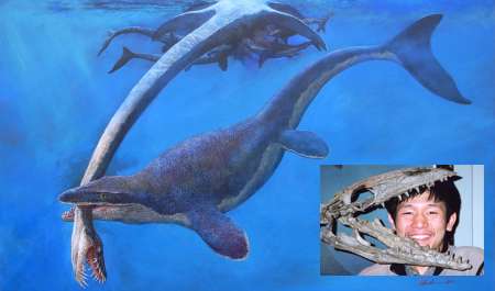 Prehistoric sea lizard pulled from skeletons in closet