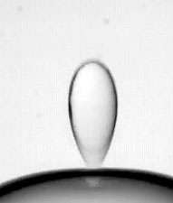 Prestigious award funds research on the mysteries of charged droplets