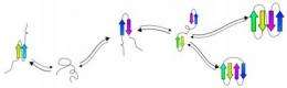 Protein folding made easy