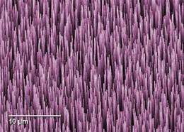 Prototype device measures absolute optical power in fiber at nanowatt levels