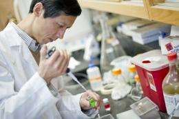 Purdue research may lead to therapy that delays onset, reduces severity of MS symptoms