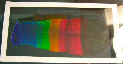 Rainbows without pigments offer new defense against fraud