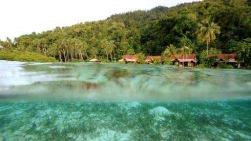 Raja Ampat archipelago: the last paradise on Earth  Duration: 00:59