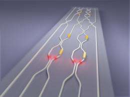 Multi-purpose photonic chip paves the way to programmable quantum processors
