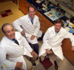 Researchers work to turn back the clock on bone-producing stem cells