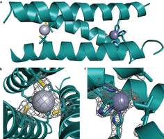 Research group develops more efficient artificial enzyme