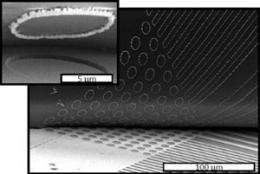 Reusable templates for the production of nanowires