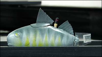 Robotic fish test the waters for safety risks