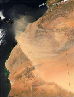 Saharan dust impacts West African monsoon precipitation