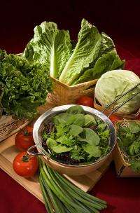 Salads you can trust -- safe farm practices get major test