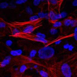 Salk researchers develop safe way to repair sickle cell disease genes