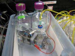 Saltwater boosts microbial electrolysis cells to cleanly produce hydrogen