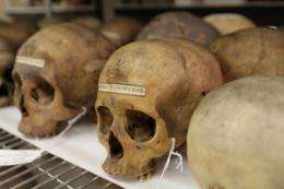 Samuel Morton collection of skulls at center of controversy