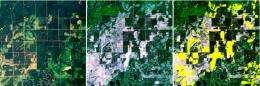 Satellite technology enables rapid, accurate mapping of forest harvest in upper Midwest