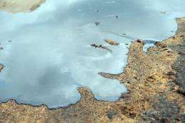 Scores of oil spills have occurred in Nigeria