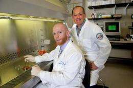 Researchers work with platelet-rich plasma to heal chronic wounds in veterans