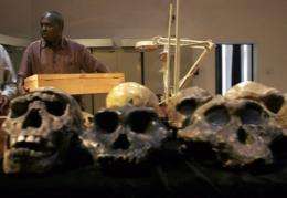 Senior Palaeontologist at the National Museum of Kenya, Frederick Kyalo Manthi, carries the remains of a homo erectus