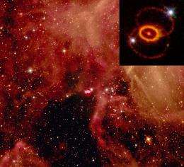 Shedding new light on supernova mystery