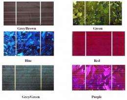 Solar panels released in an array of colors