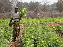 Mapping underground water sources for drip irrigation could transform African village life