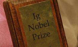 Spoof Nobel prizes were awarded for studies into beetle sex, yawning, the desperation of people dying to urinate