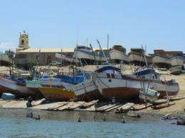 Study shows small-scale fisheries' impact on marine life