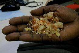 Sudan produces at least 80 percent of the world's gum arabic supply