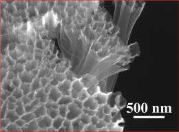 Sulfur in hollow nanofibers overcomes challenges of lithium-ion battery design