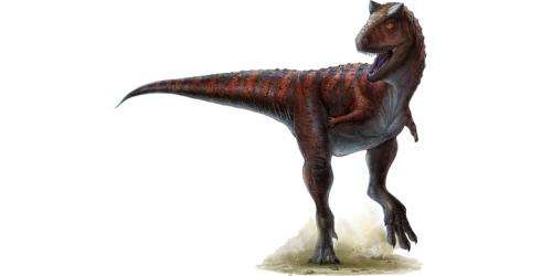 Super-sized muscle made twin-horned dinosaur a speedster