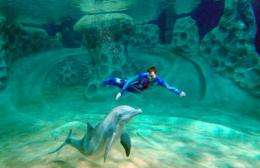 Systems engineers help improve flow of visitors in Georgia Aquarium's new dolphin exhibit