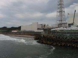 TEPCO-issued photo shows the company's nuclear power plant in Fukushima