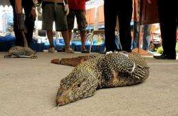 Thai customs officials have put the estimated street value of the reptiles at $60,000