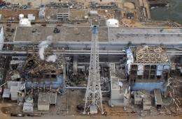 The Fukushima nuclear plant was destroyed following the March 11 earthquake and tsunami in northeast Japan