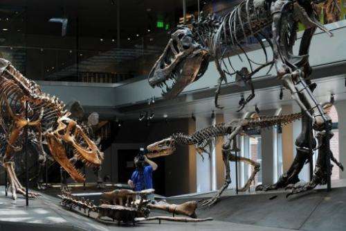 The gallery includes several large specimens, including a group of three skeletons of Tyrannosaurus rex